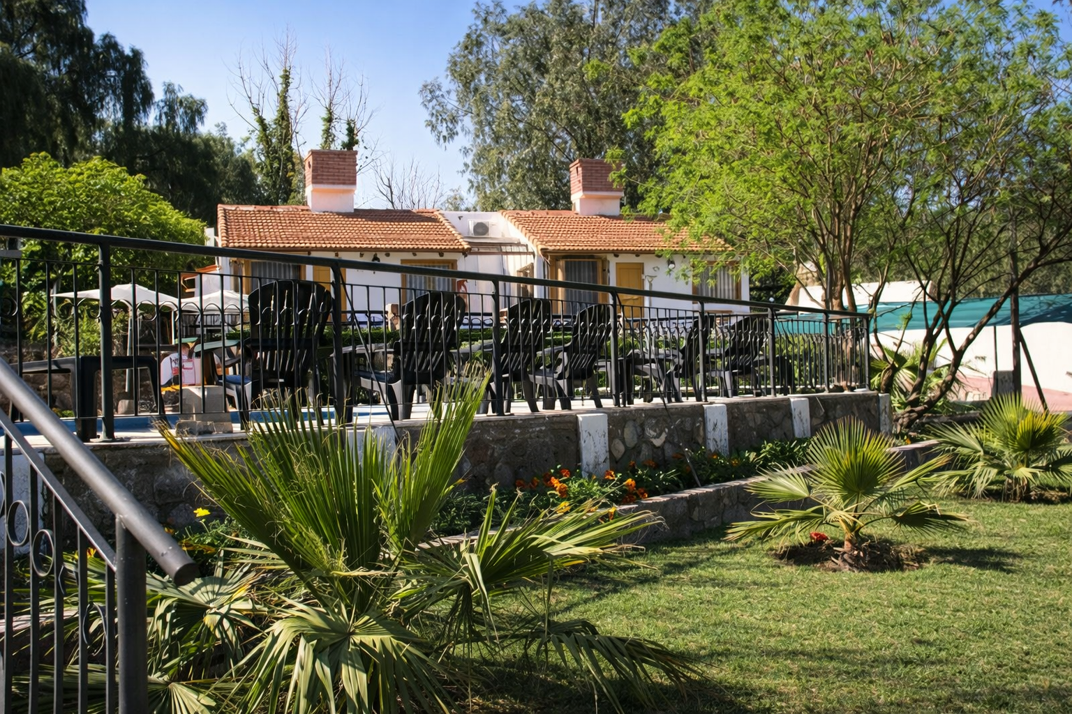 Complejo Alfombra Mágika